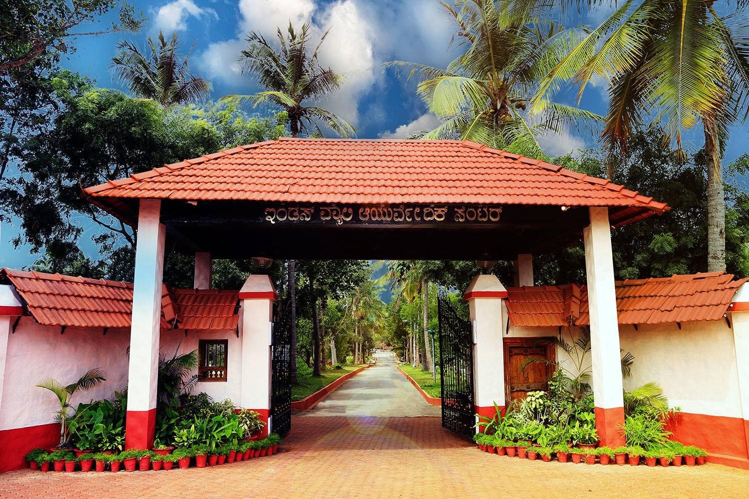 IVAC Ayurvedic Centre India: Panchakarma, Detox & Rejuvenation